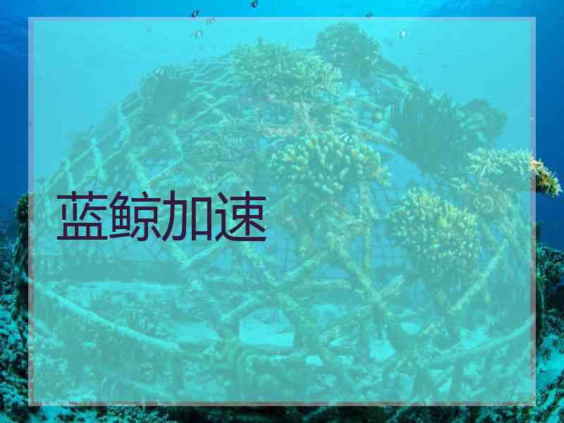 蓝鲸加速
