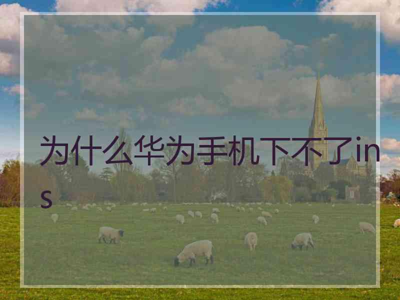 为什么华为手机下不了ins