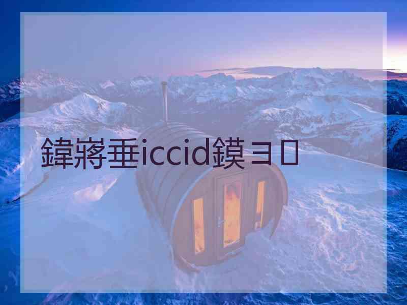 鍏嶈垂iccid鏌ヨ
