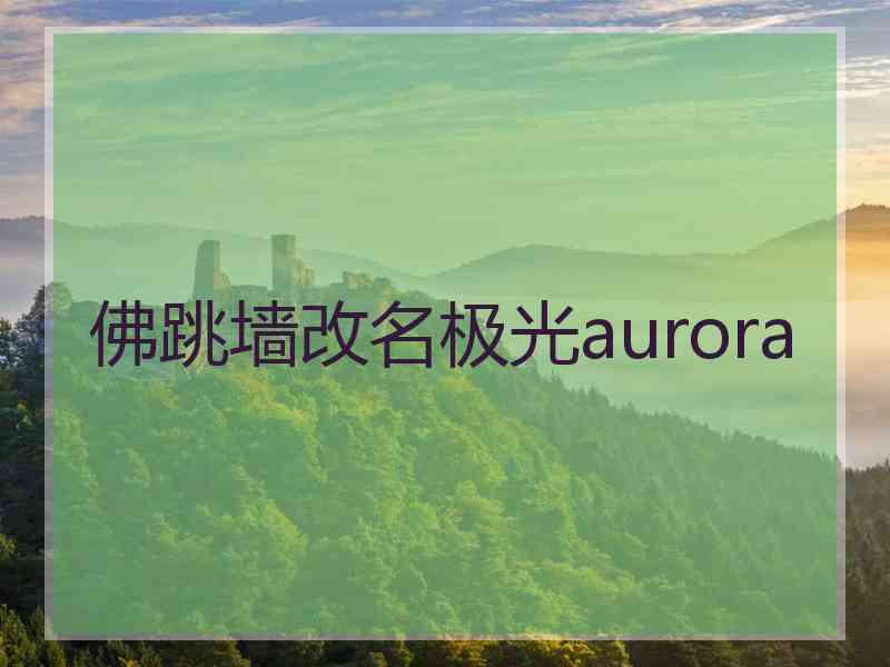 佛跳墙改名极光aurora