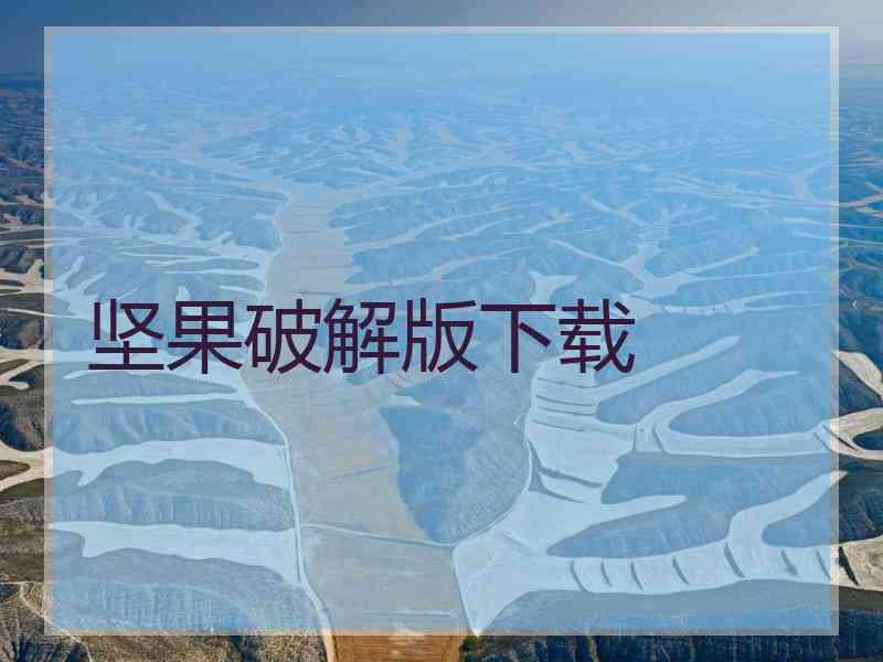 坚果破解版下载