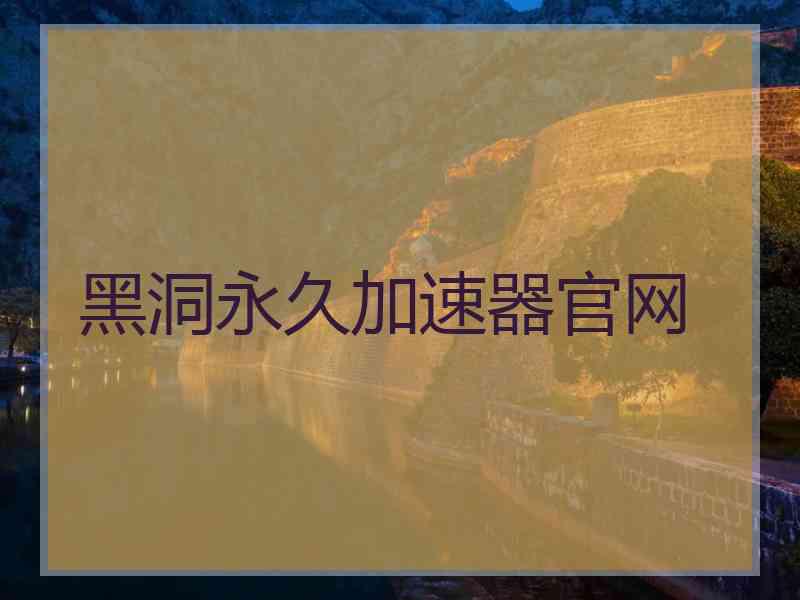 黑洞永久加速器官网