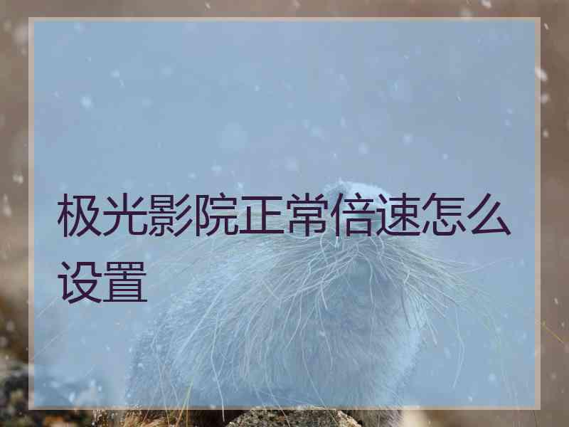 极光影院正常倍速怎么设置