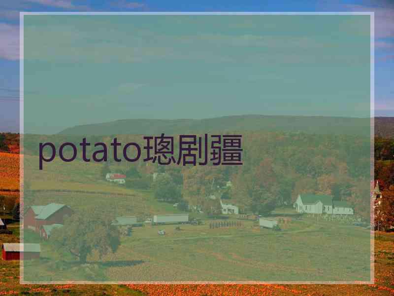 potato璁剧疆