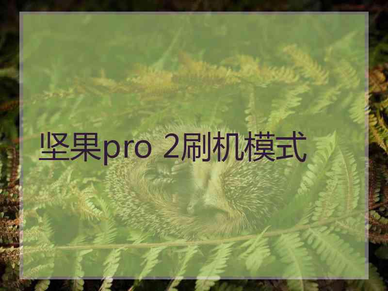 坚果pro 2刷机模式