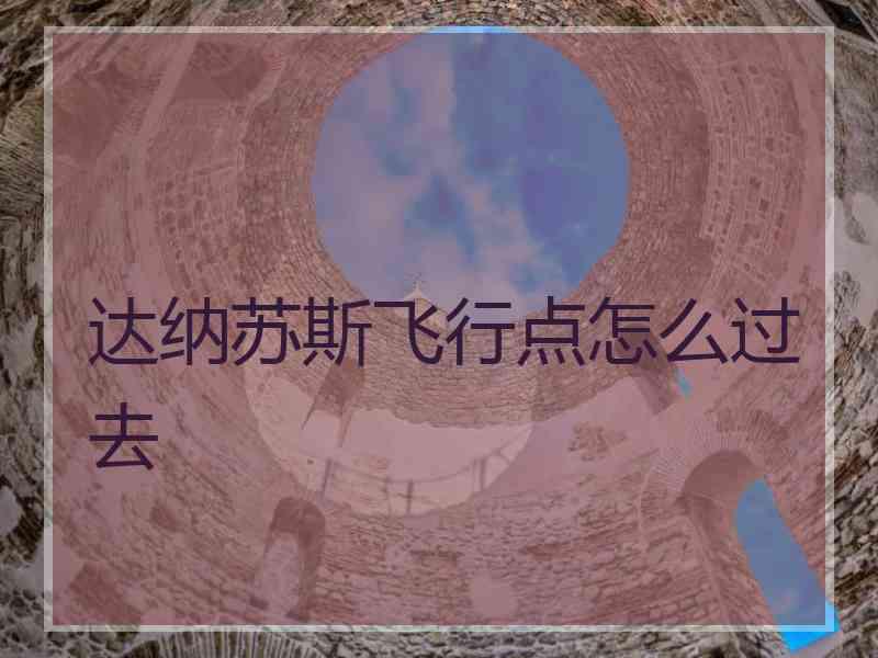 达纳苏斯飞行点怎么过去