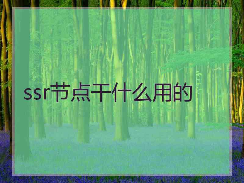 ssr节点干什么用的