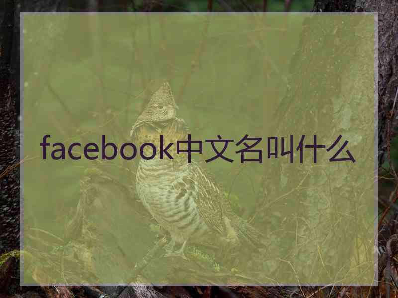 facebook中文名叫什么