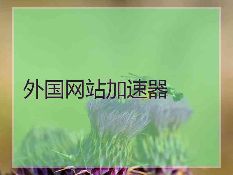 外国网站加速器