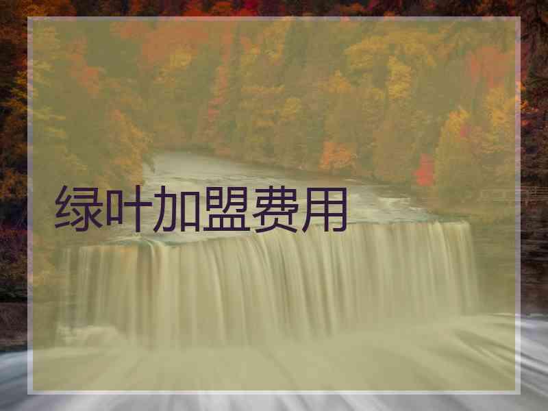 绿叶加盟费用