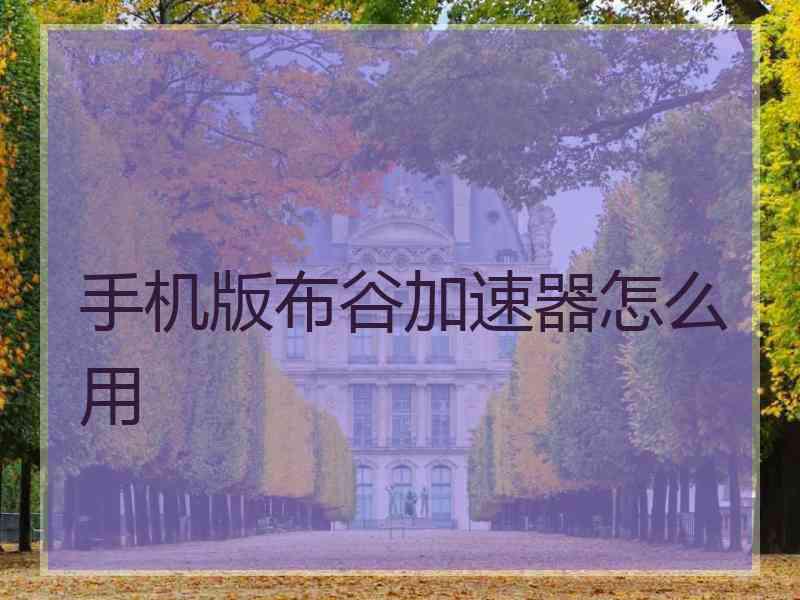 手机版布谷加速器怎么用