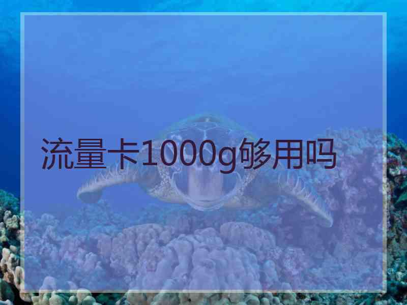 流量卡1000g够用吗