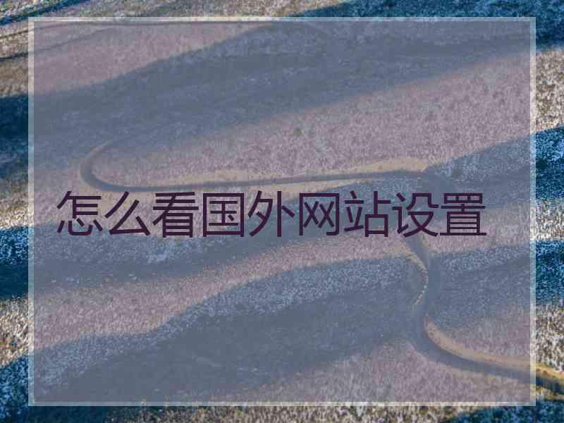 怎么看国外网站设置