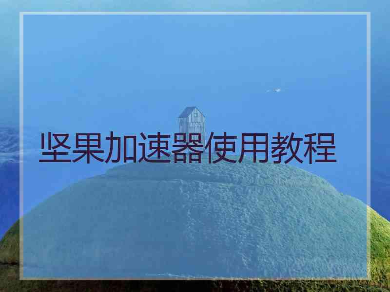 坚果加速器使用教程