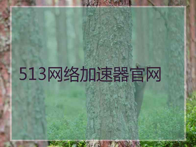 513网络加速器官网