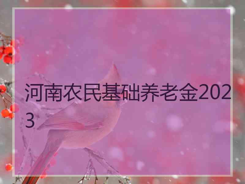 河南农民基础养老金2023