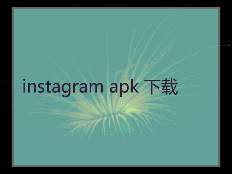 instagram apk 下载