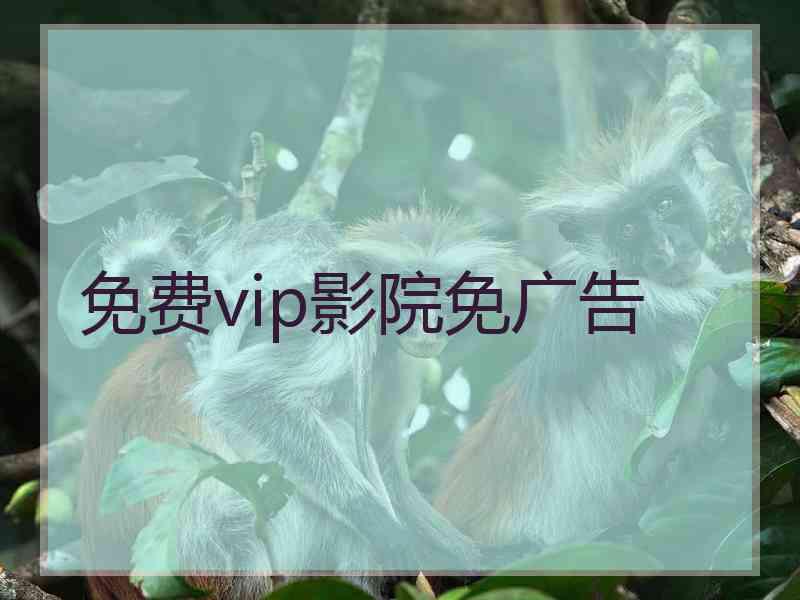 免费vip影院免广告