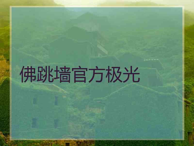 佛跳墙官方极光