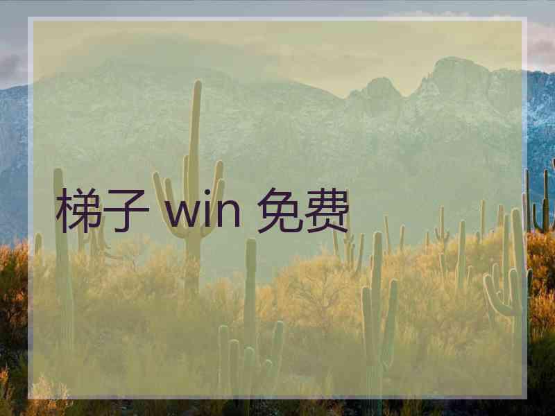 梯子 win 免费