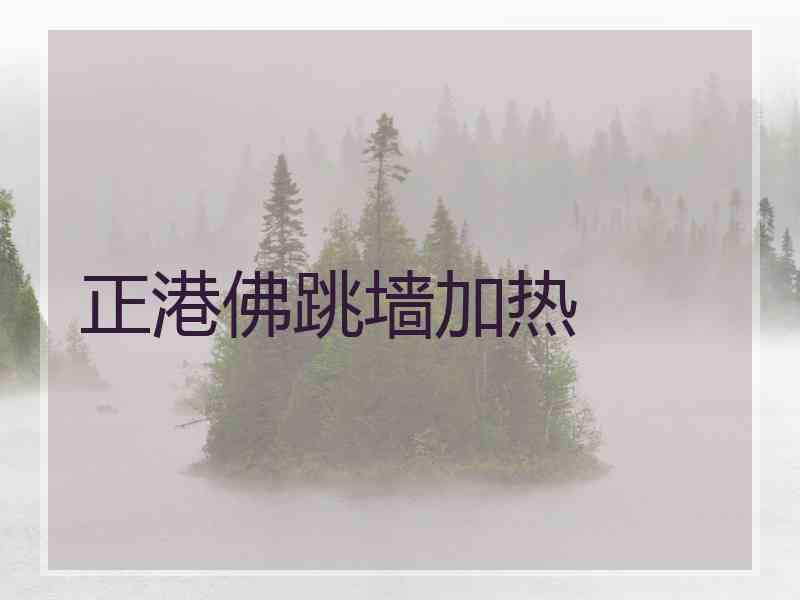 正港佛跳墙加热