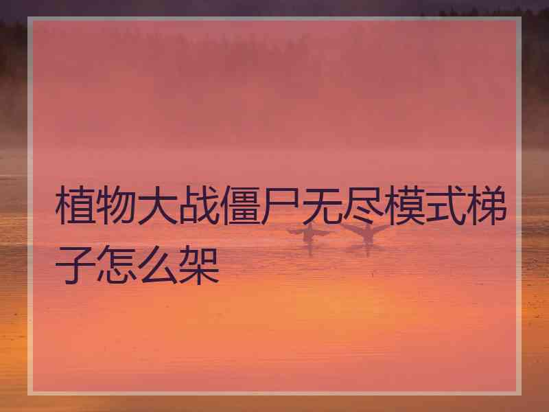 植物大战僵尸无尽模式梯子怎么架