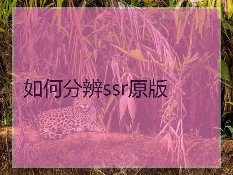 如何分辨ssr原版
