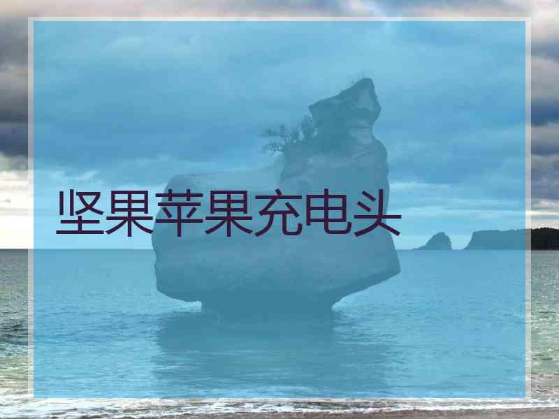 坚果苹果充电头