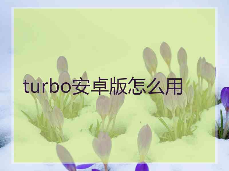 turbo安卓版怎么用