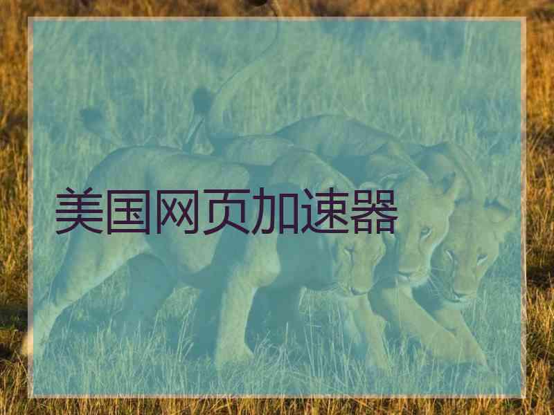 美国网页加速器