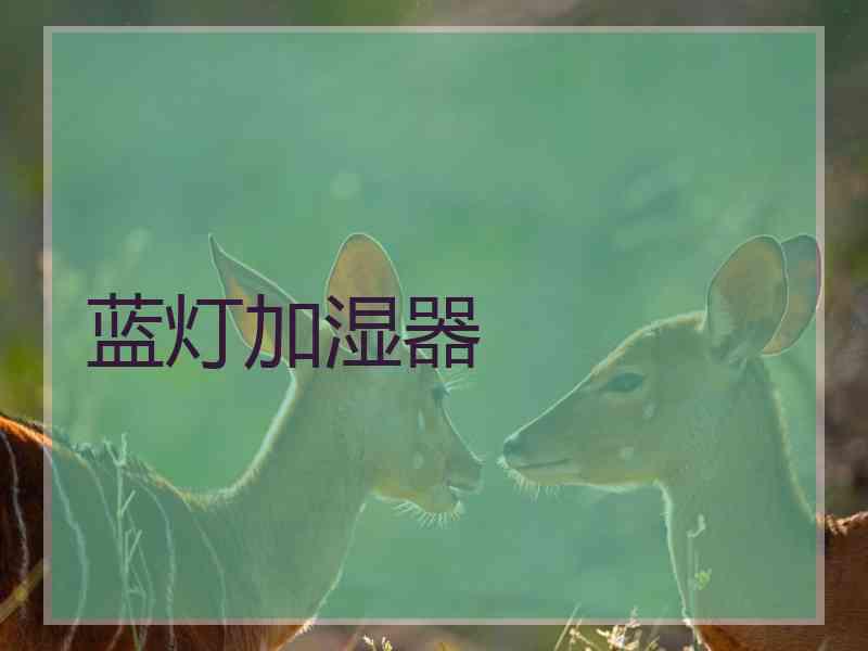蓝灯加湿器