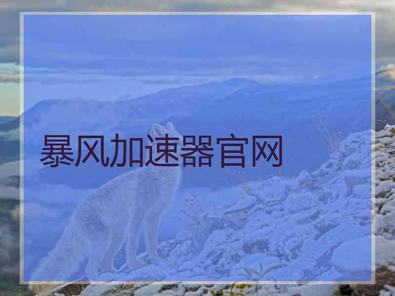 暴风加速器官网