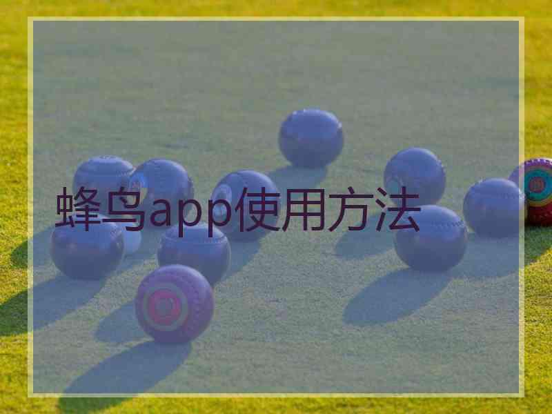 蜂鸟app使用方法