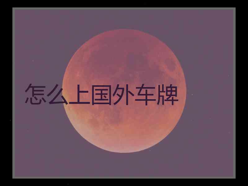 怎么上国外车牌