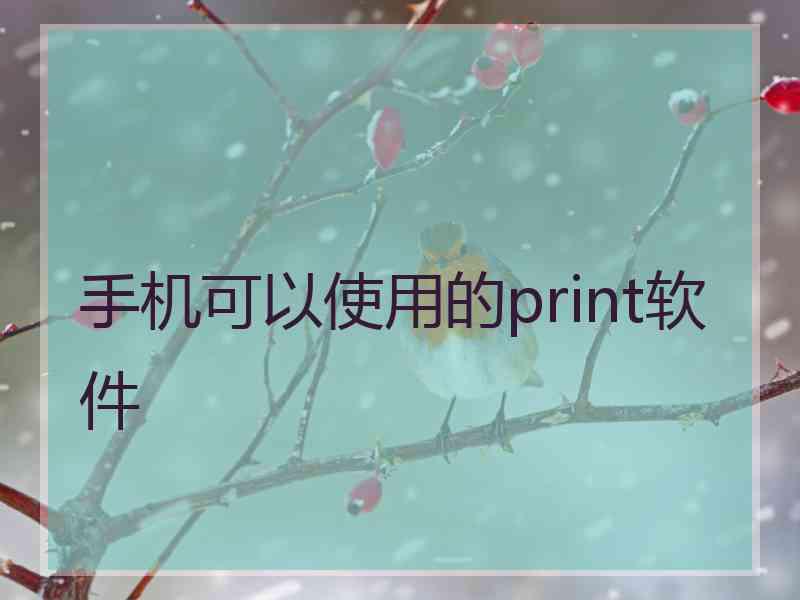 手机可以使用的print软件