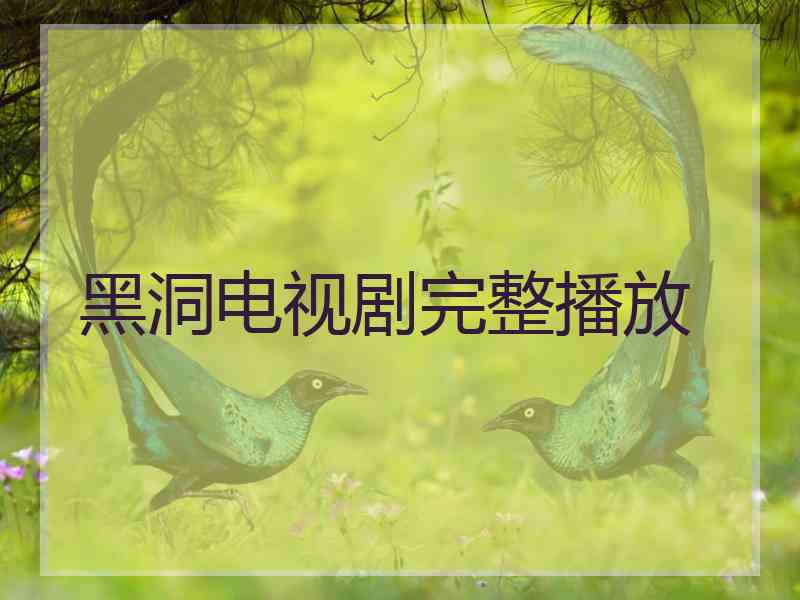 黑洞电视剧完整播放