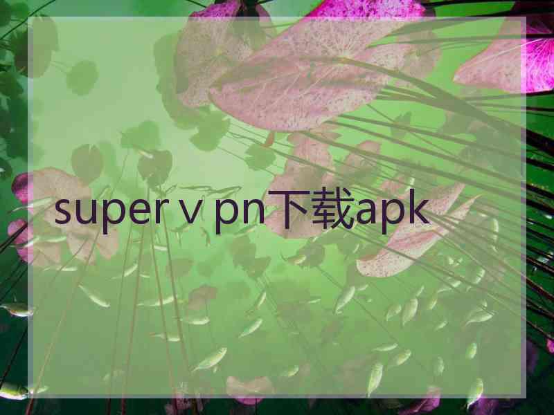 superⅴpn下载apk
