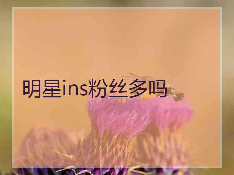 明星ins粉丝多吗