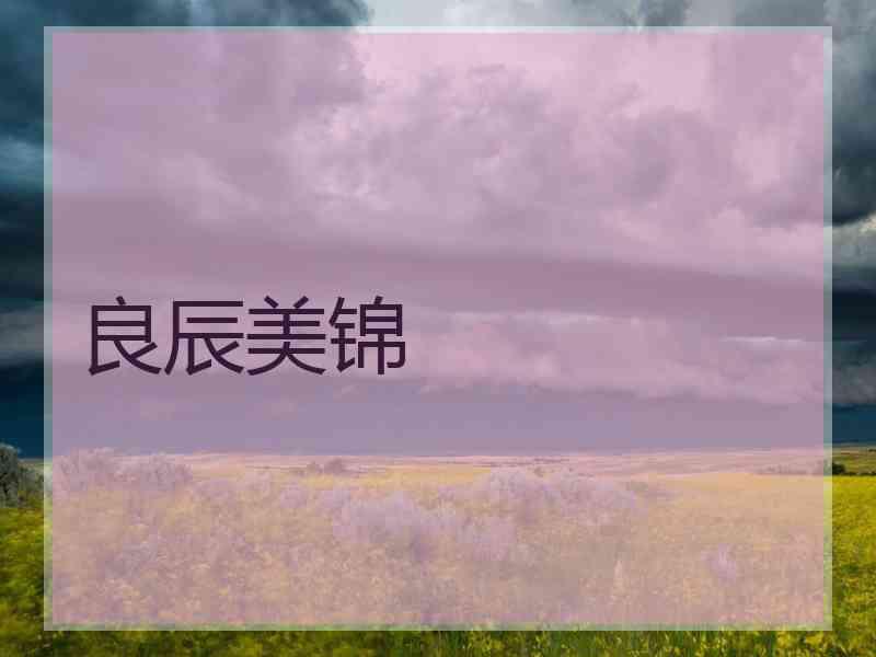 良辰美锦