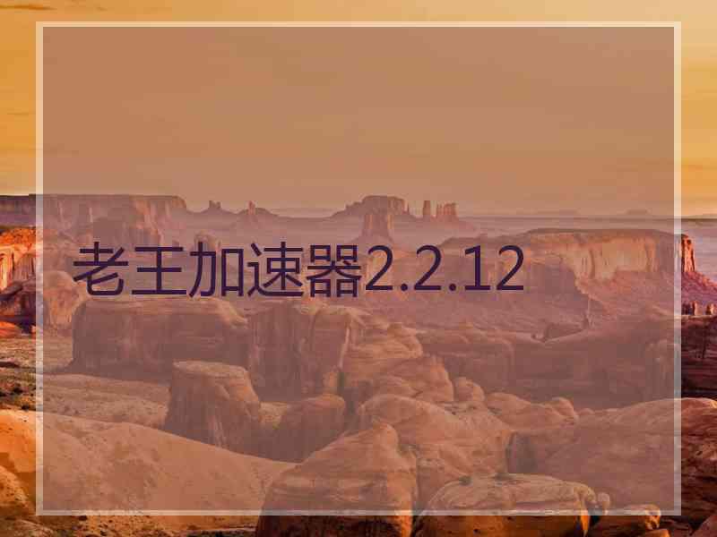 老王加速器2.2.12