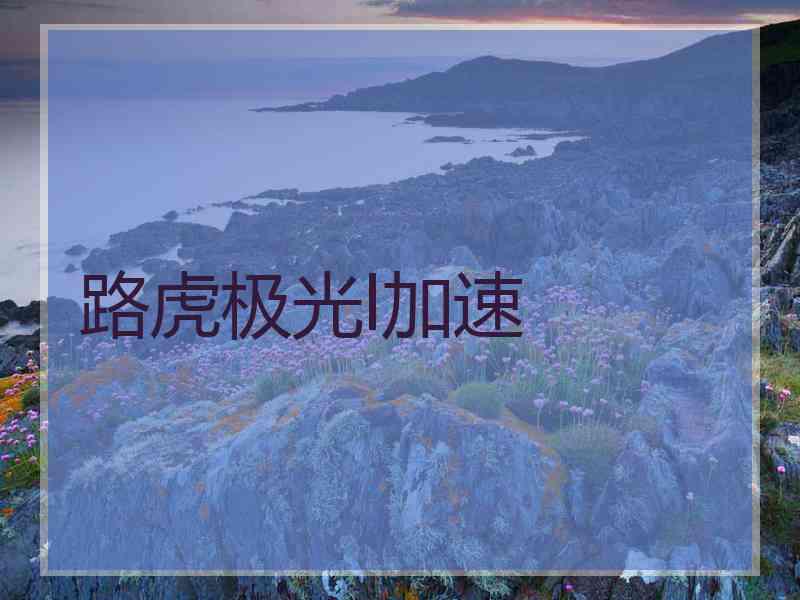 路虎极光l加速