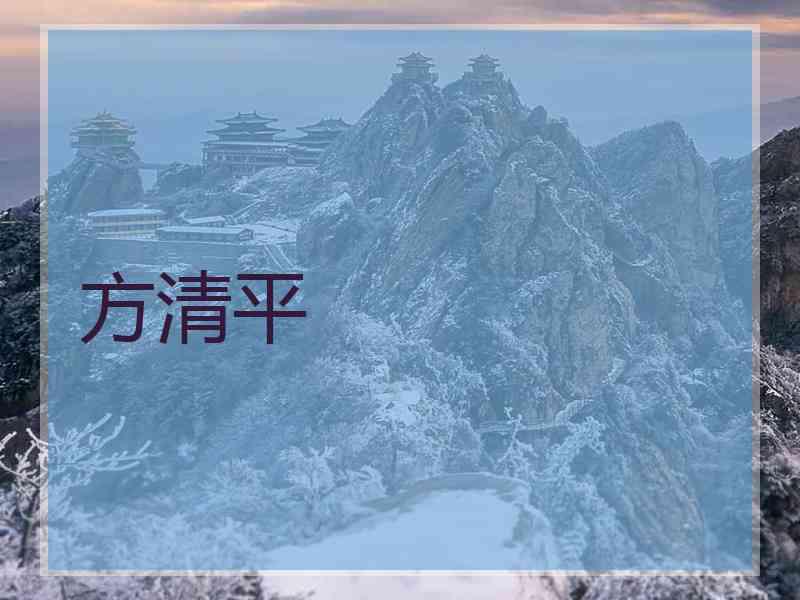 方清平
