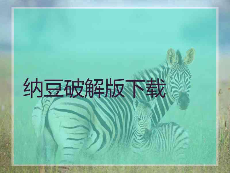 纳豆破解版下载