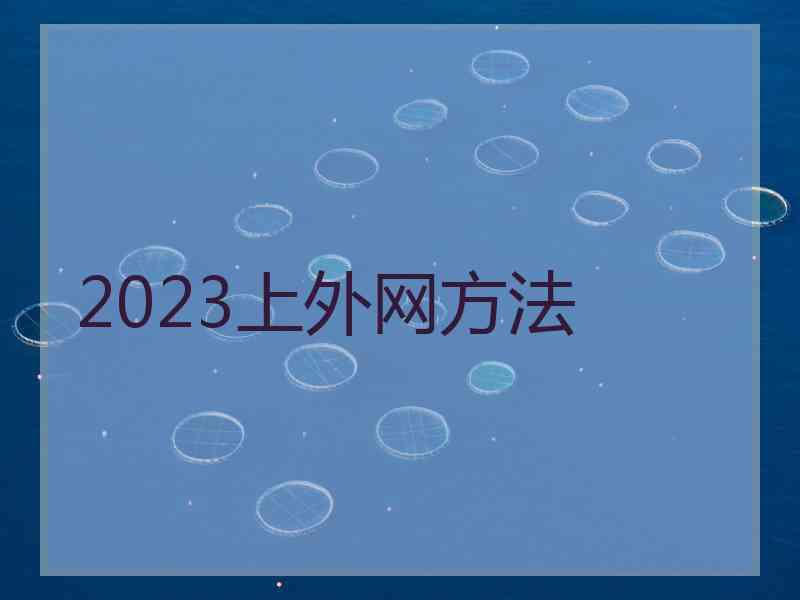 2023上外网方法