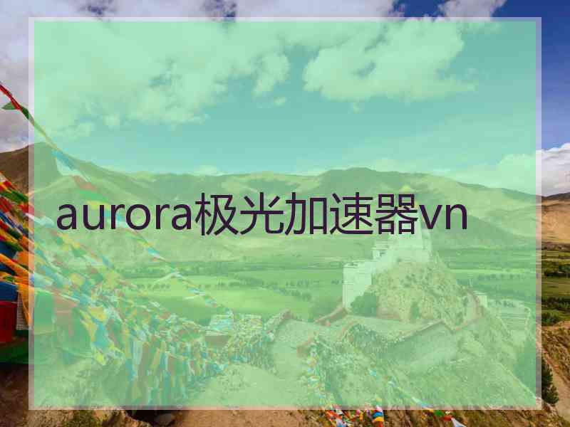 aurora极光加速器vn
