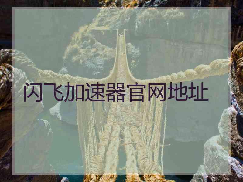 闪飞加速器官网地址