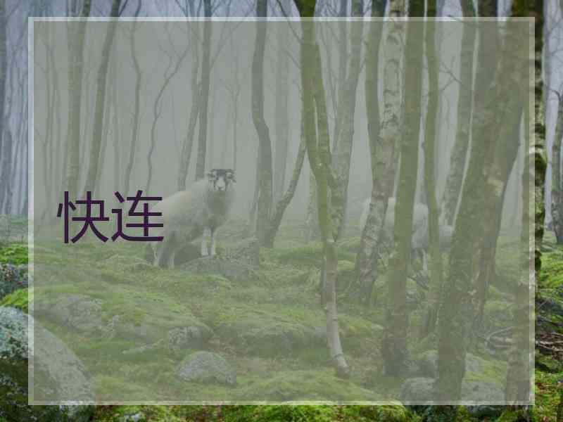 快连