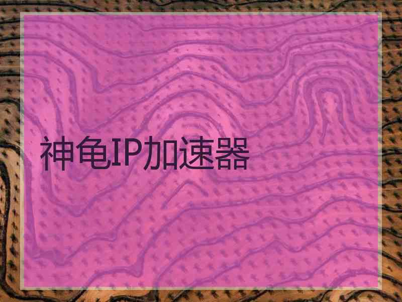 神龟IP加速器