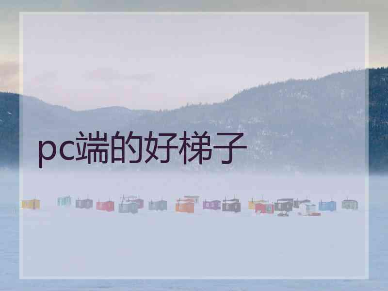 pc端的好梯子