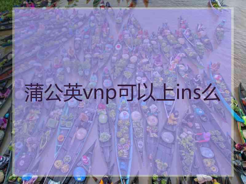 蒲公英vnp可以上ins么